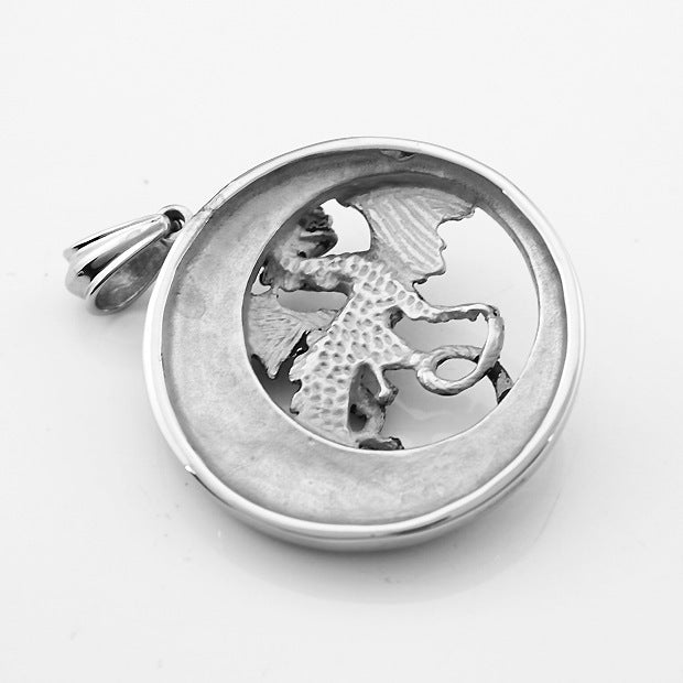 Titanium Steel Pterosaur Ring Pendant Necklace | Men's Accessory